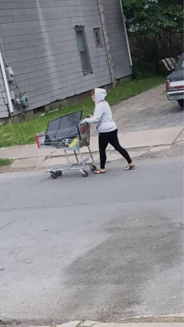 daily picdump 95 pics 5.html - 95 HD Photos | Premium Gallery 2017