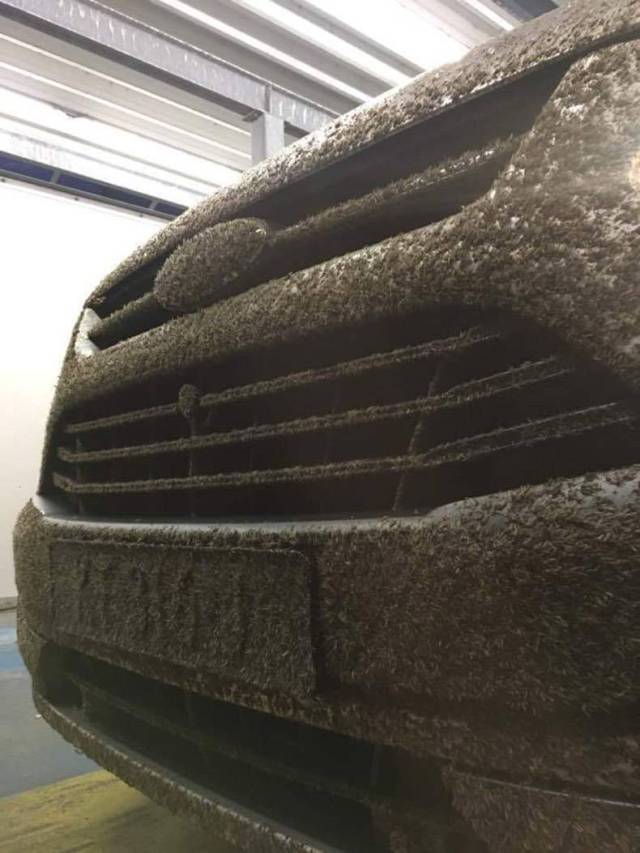 daily picdump 95 pics 5.html - 95 HD Photos | Premium Gallery 2017