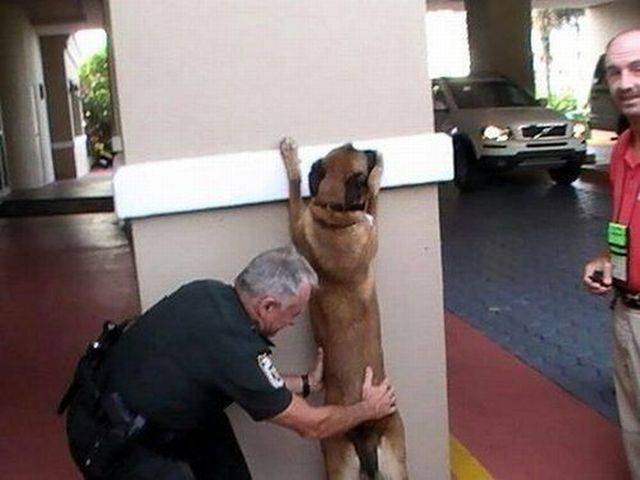 daily picdump 94 pics 34.html - 94 HD Photos | Premium Gallery 2017