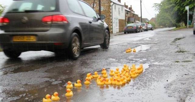 daily picdump 94 pics 34.html - 94 HD Photos | Premium Gallery 2017