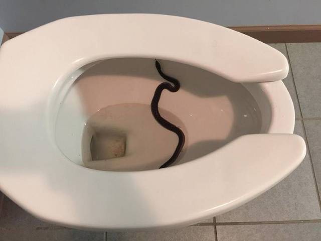 daily picdump 94 pics 34.html - 94 HD Photos | Premium Gallery 2017