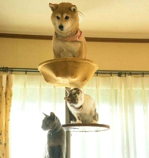 daily picdump 94 pics 34.html - 94 HD Photos | Premium Gallery 2017