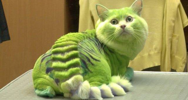 daily picdump 94 pics 34.html - 94 HD Photos | Premium Gallery 2017