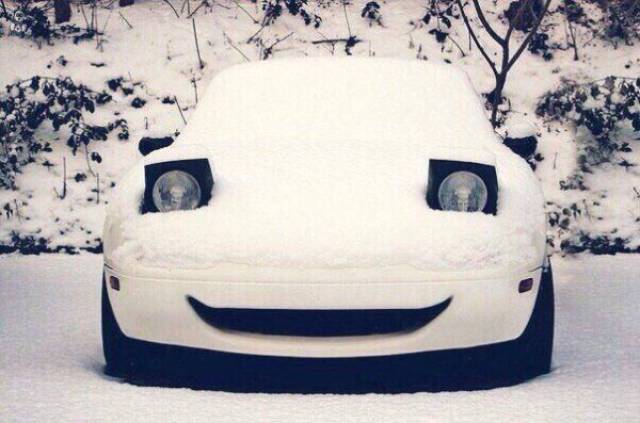 daily picdump 94 pics 34.html - 94 HD Photos | Premium Gallery 2017