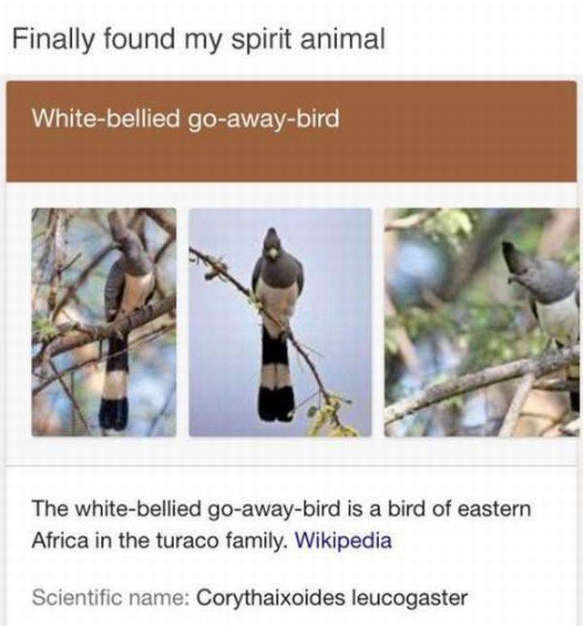 daily picdump 94 pics 34.html - 94 HD Photos | Premium Gallery 2017