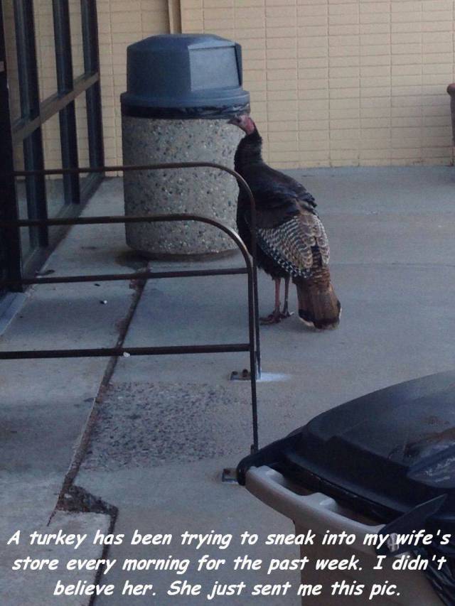 daily picdump 94 pics 34.html - 94 HD Photos | Premium Gallery 2017