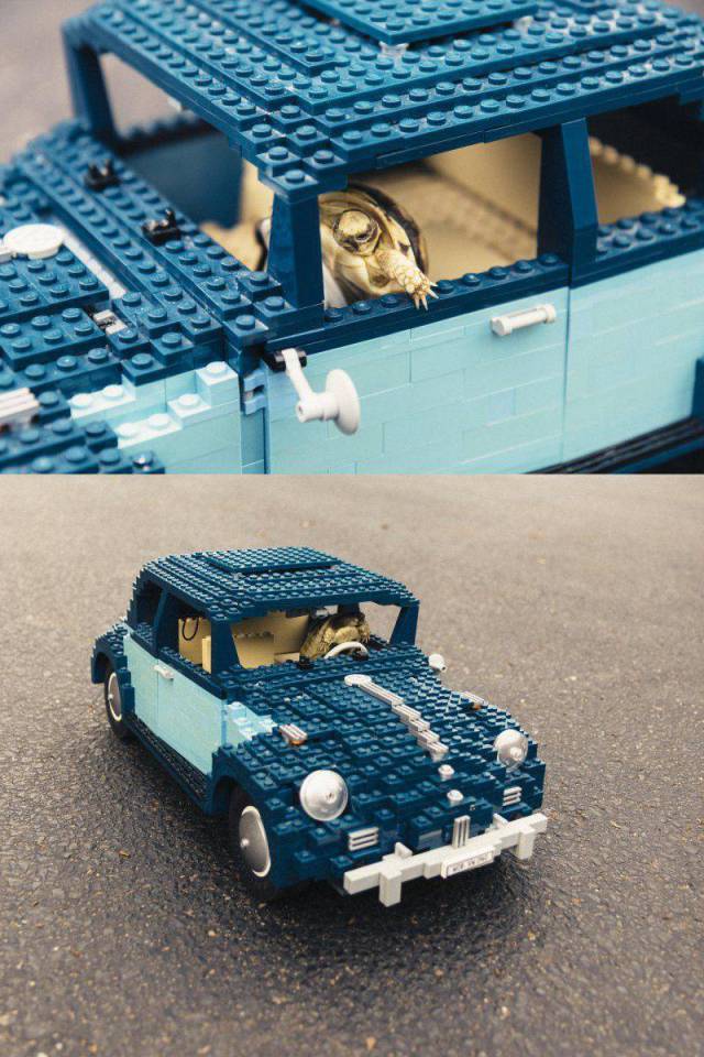 daily picdump 94 pics 34.html - 94 HD Photos | Premium Gallery 2017