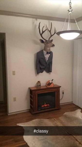 morning picdump 51 pics 5.html - 51 HD Photos | Premium Gallery 2017