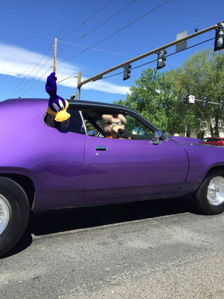 morning picdump 51 pics 5.html - 51 HD Photos | Premium Gallery 2017