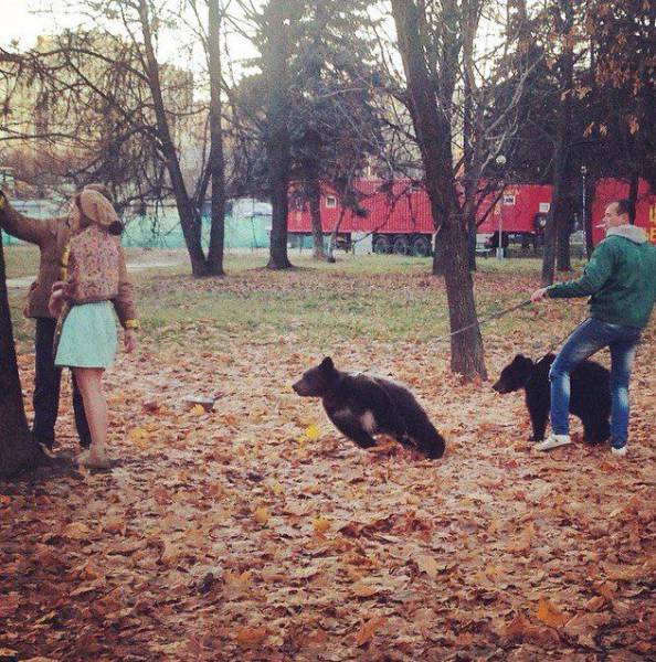 daily picdump 96 pics 8.html - 96 HD Photos | Premium Gallery 2017