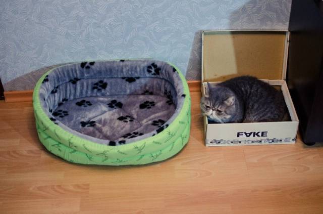 daily picdump 96 pics 8.html - 96 HD Photos | Premium Gallery 2017