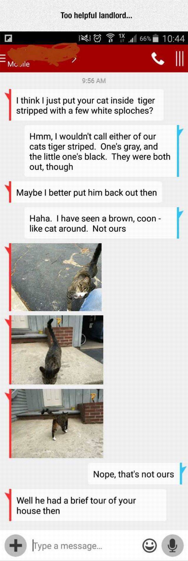 daily picdump 96 pics 8.html - 96 HD Photos | Premium Gallery 2017