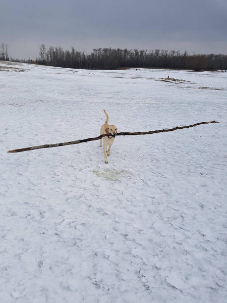 morning picdump 51 pics 23.html - 51 HD Photos | Premium Gallery 2017