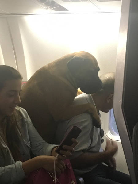 morning picdump 51 pics 23.html - 51 HD Photos | Premium Gallery 2017