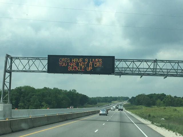 morning picdump 51 pics 23.html - 51 HD Photos | Premium Gallery 2017