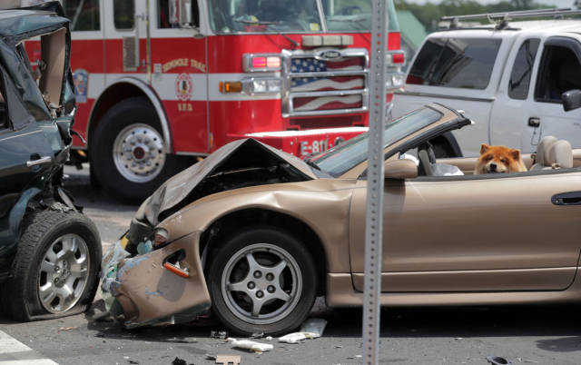 morning picdump 51 pics 23.html - 51 HD Photos | Premium Gallery 2017