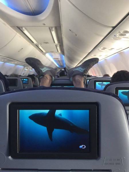 Daily Picdump [WEEKEND EDITION]