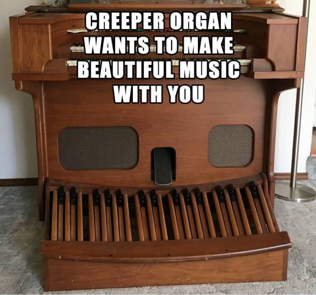 daily picdump weekend edition 75 pics 14.html - 75 HD Photos | Premium Gallery 2017