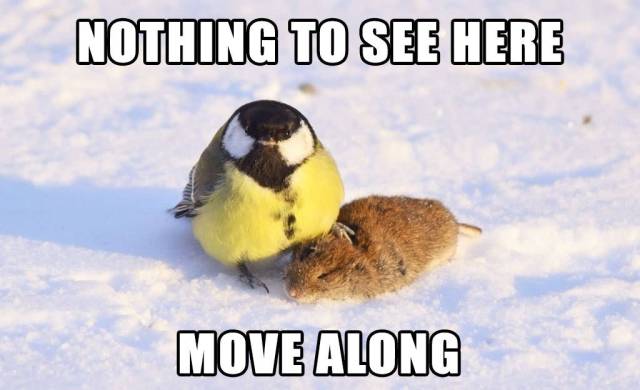 daily picdump weekend edition 75 pics 14.html - 75 HD Photos | Premium Gallery 2017