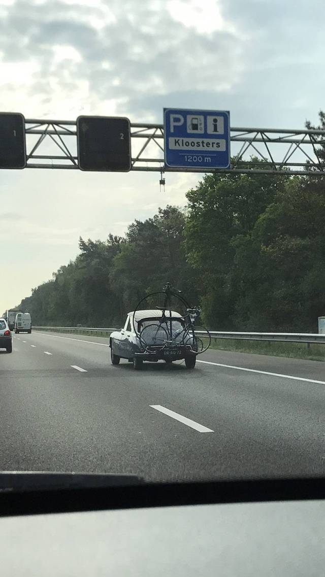 Daily Picdump [WEEKEND EDITION]