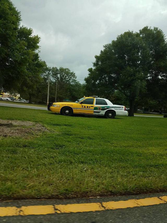 daily picdump weekend edition 75 pics 14.html - 75 HD Photos | Premium Gallery 2017