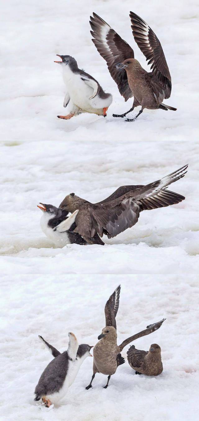 daily picdump weekend edition 75 pics 14.html - 75 HD Photos | Premium Gallery 2017