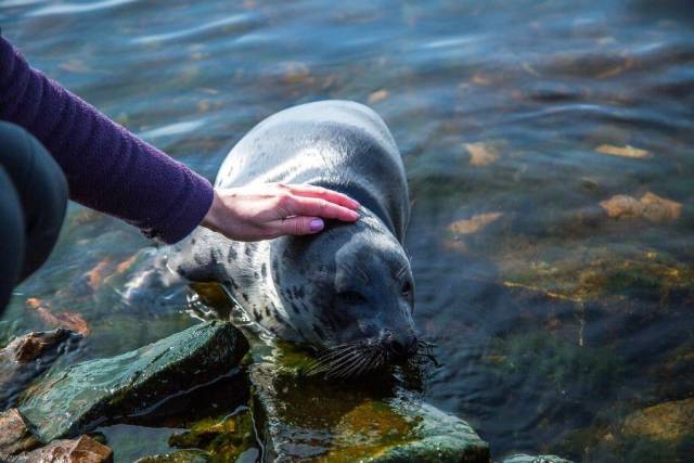 daily picdump 98 pics 44.html - 98 HD Photos | Premium Gallery 2017