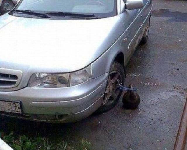 daily picdump 98 pics 44.html - 98 HD Photos | Premium Gallery 2017