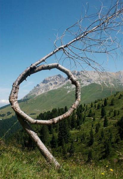 daily picdump 98 pics 44.html - 98 HD Photos | Premium Gallery 2017