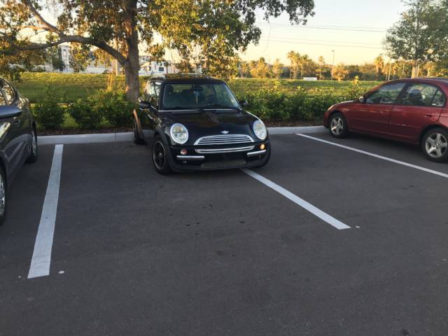 daily picdump 98 pics 44.html - 98 HD Photos | Premium Gallery 2017