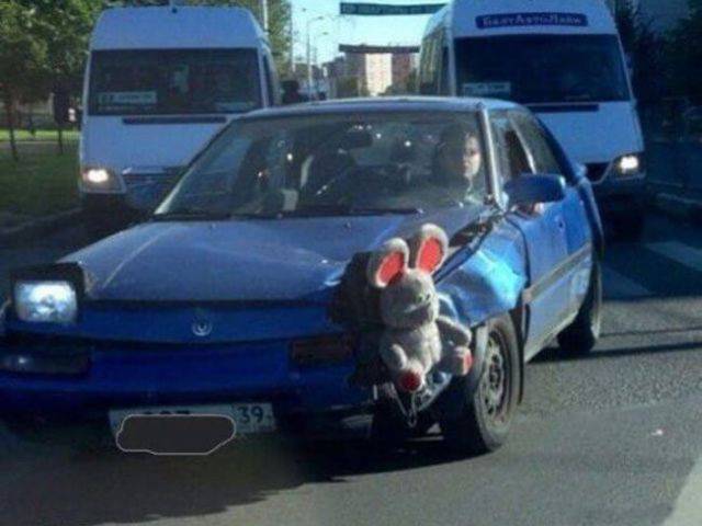 daily picdump 97 pics 38.html - 97 HD Photos | Premium Gallery 2017