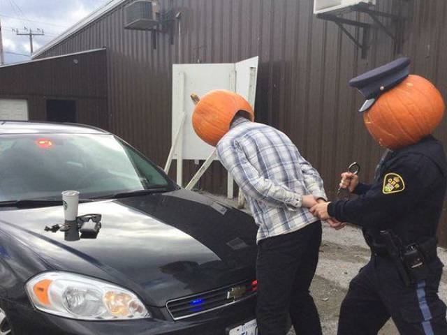 daily picdump 97 pics 38.html - 97 HD Photos | Premium Gallery 2017