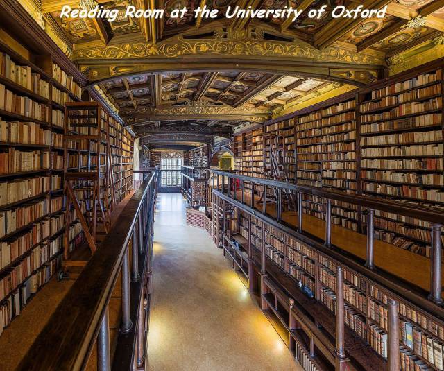 daily picdump 97 pics 38.html - 97 HD Photos | Premium Gallery 2017