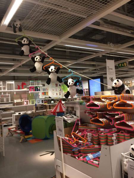 daily picdump 97 pics 38.html - 97 HD Photos | Premium Gallery 2017