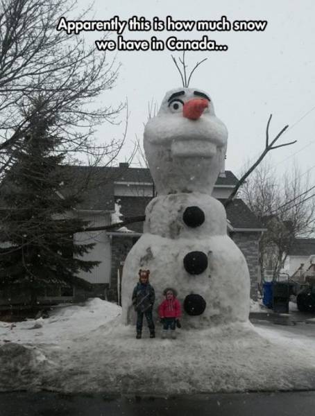 How Can One Be So Talented?!