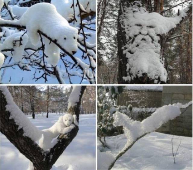 How Can One Be So Talented?!