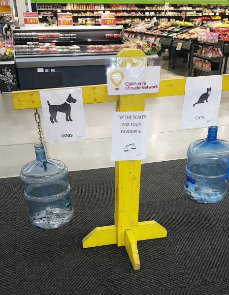 morning picdump 49 pics 12.html - 49 HD Photos | Premium Gallery 2017