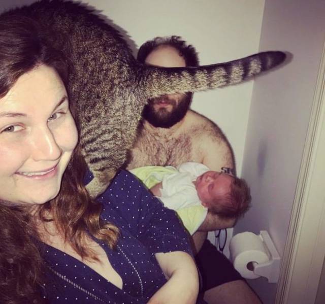 daily picdump 113 pics 46.html - 113 HD Photos | Premium Gallery 2017