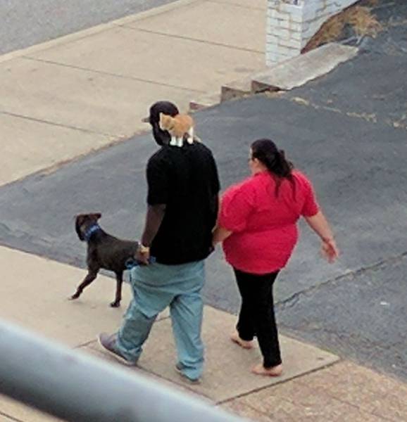 daily picdump 113 pics 46.html - 113 HD Photos | Premium Gallery 2017