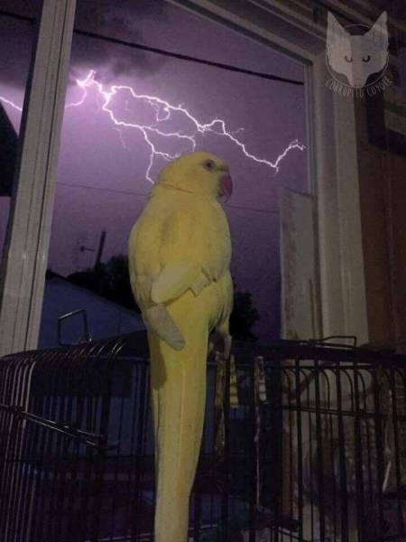 daily picdump 113 pics 46.html - 113 HD Photos | Premium Gallery 2017