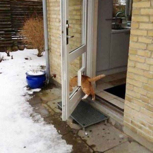 daily picdump 113 pics 46.html - 113 HD Photos | Premium Gallery 2017