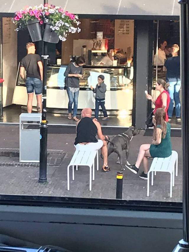 daily picdump 113 pics 46.html - 113 HD Photos | Premium Gallery 2017