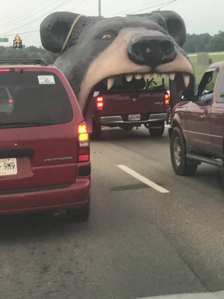 morning picdump 51 pics 1.html - 51 HD Photos | Premium Gallery 2017