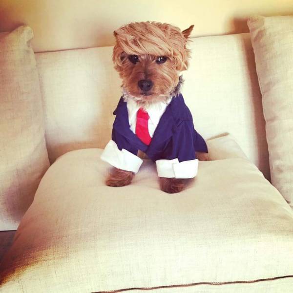 morning picdump 51 pics 1.html - 51 HD Photos | Premium Gallery 2017