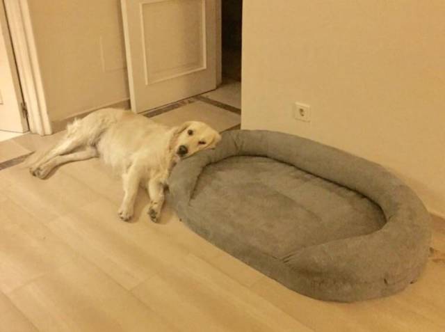 morning picdump 51 pics 1.html - 51 HD Photos | Premium Gallery 2017