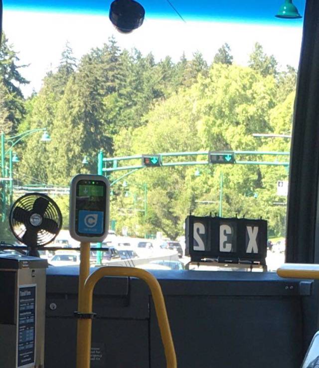 morning picdump 51 pics 1.html - 51 HD Photos | Premium Gallery 2017