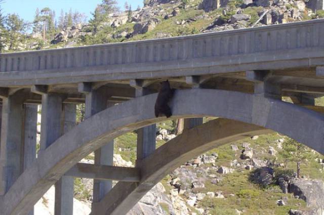 daily picdump 94 pics 4.html - 94 HD Photos | Premium Gallery 2017