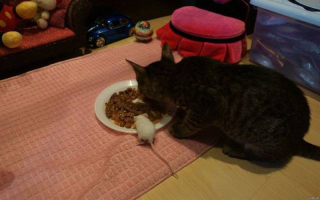 daily picdump 94 pics 4.html - 94 HD Photos | Premium Gallery 2017