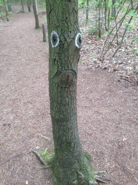 morning picdump 52 pics 14.html - 52 HD Photos | Premium Gallery 2017