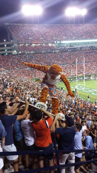 morning picdump 52 pics 14.html - 52 HD Photos | Premium Gallery 2017